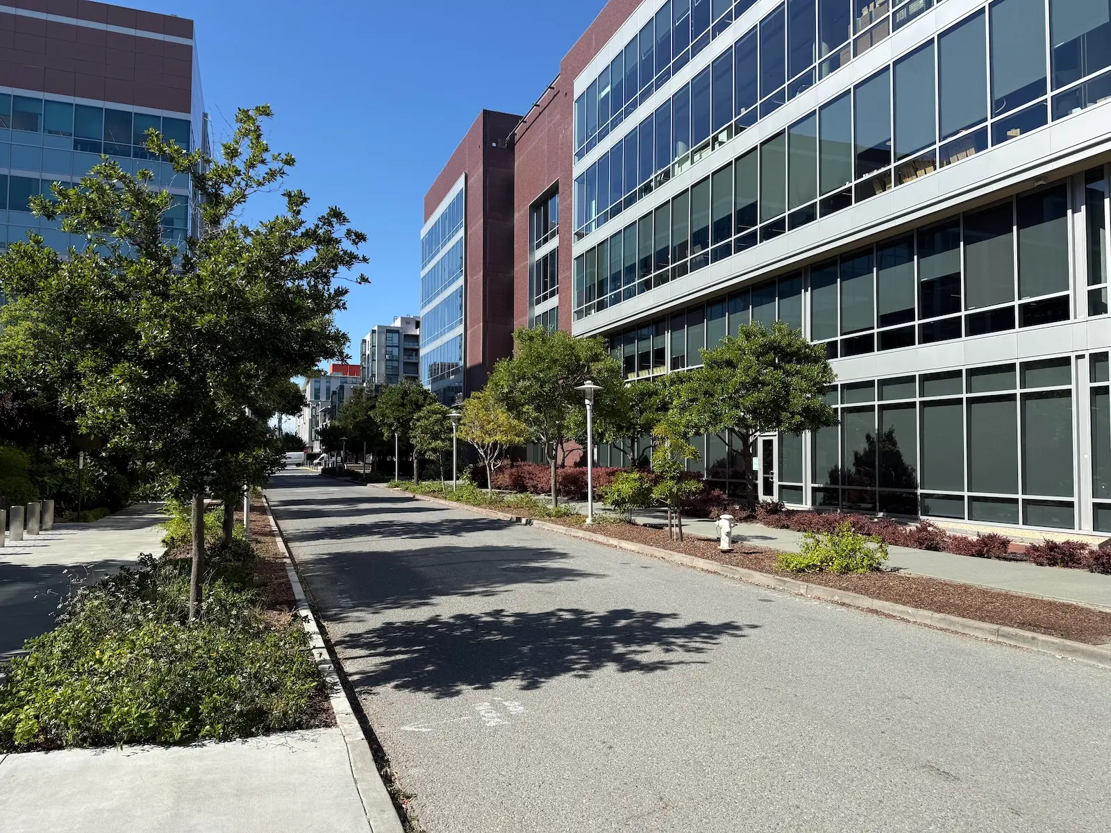 Modern commercial streetscape in Mission Bay near San Francisco’s life-science and institutional district